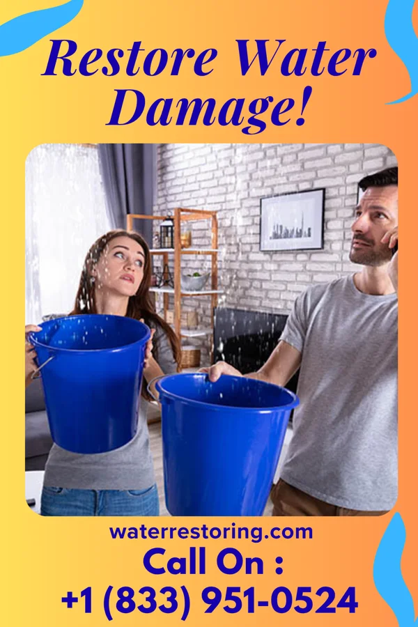 water restoration New Disaster Recovery Brothers Allen